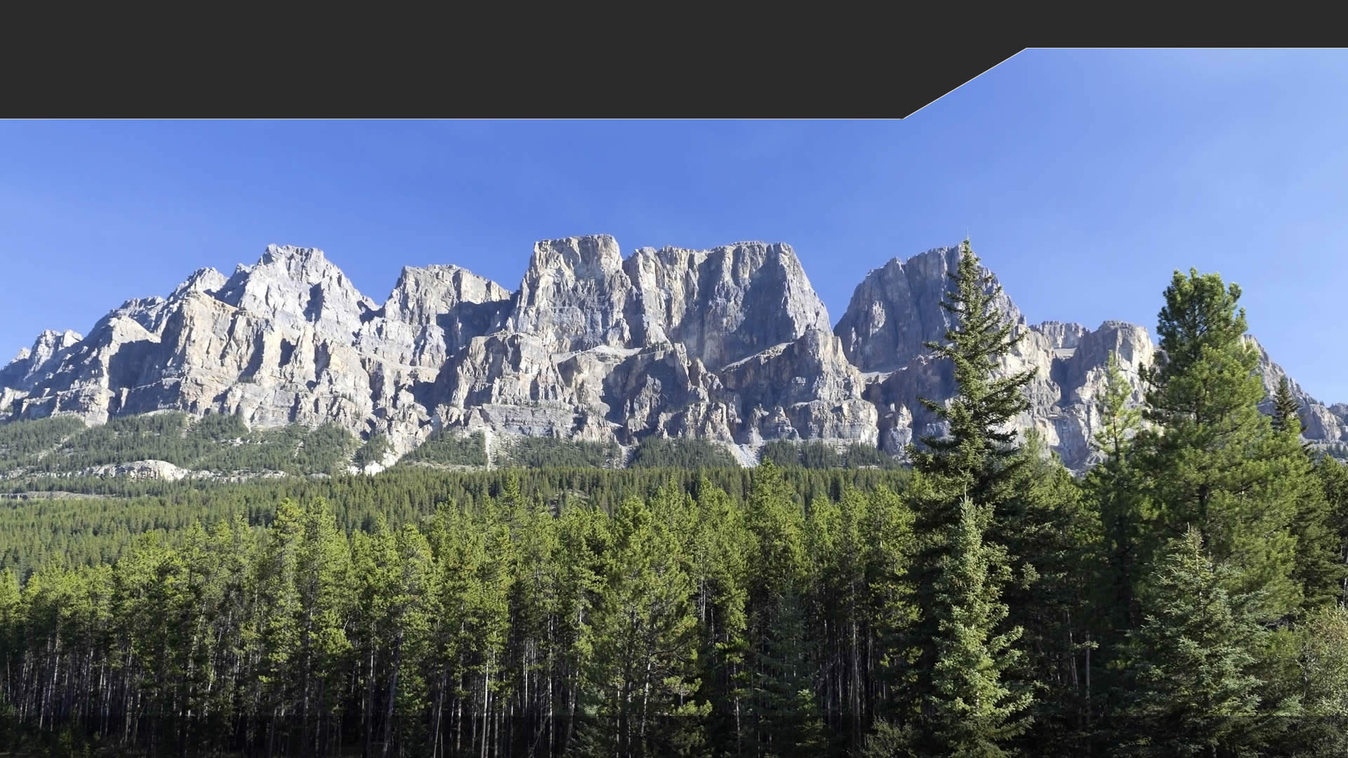 Canada Funding Network